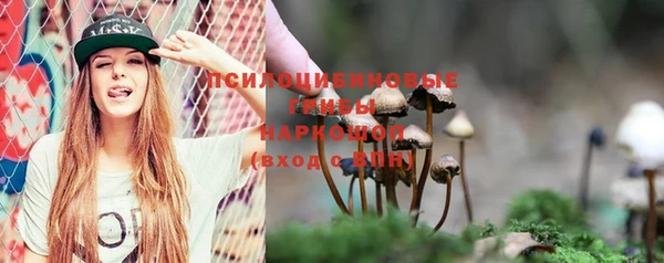 молекула духа Баксан