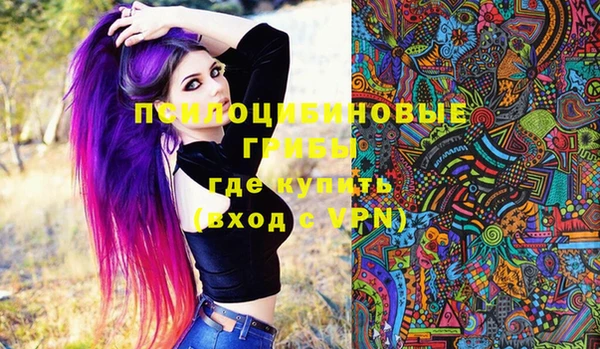 молекула духа Баксан